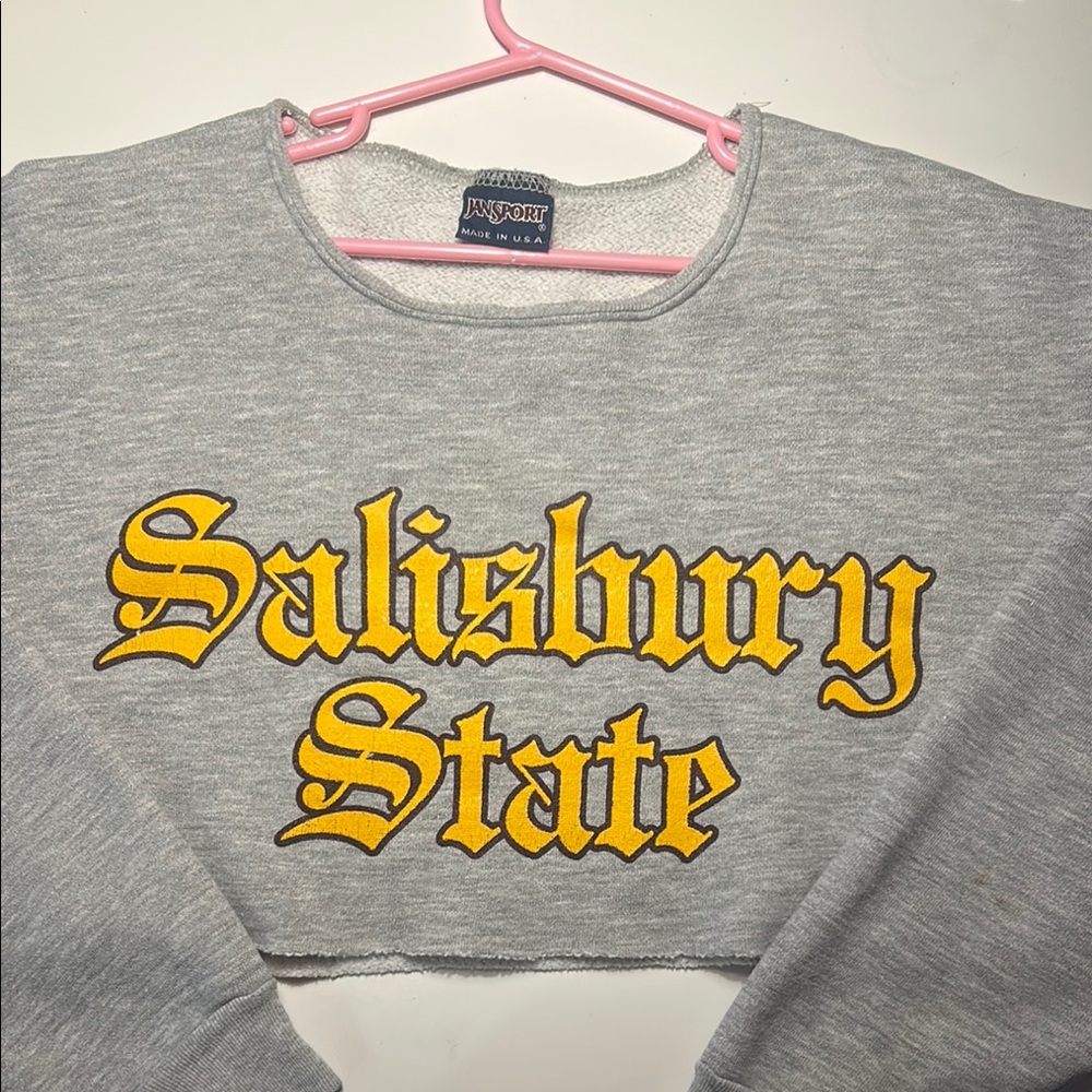 SALISBURY STATE REWORKED CROPPED CREWNECK